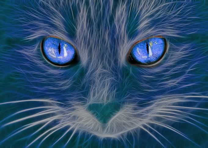 Le regard brillant I