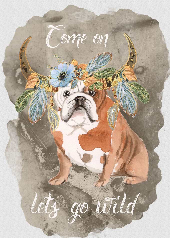 Boho English Bulldog