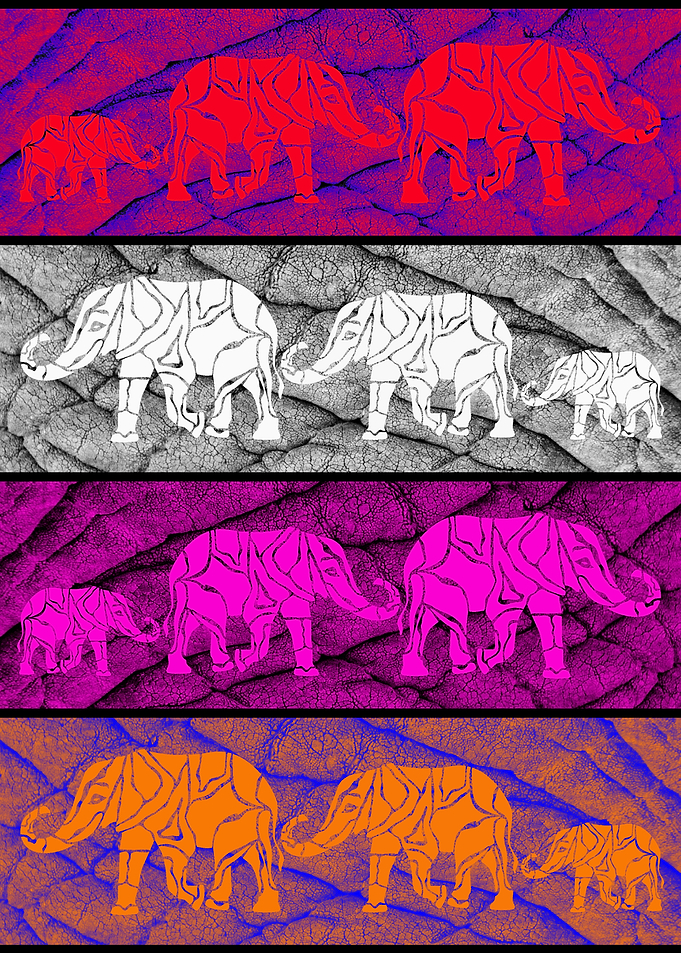 Elephants in color 4