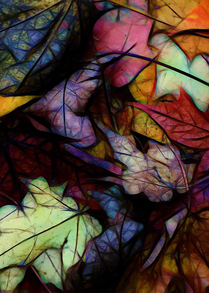 Fall Leaves Abstract