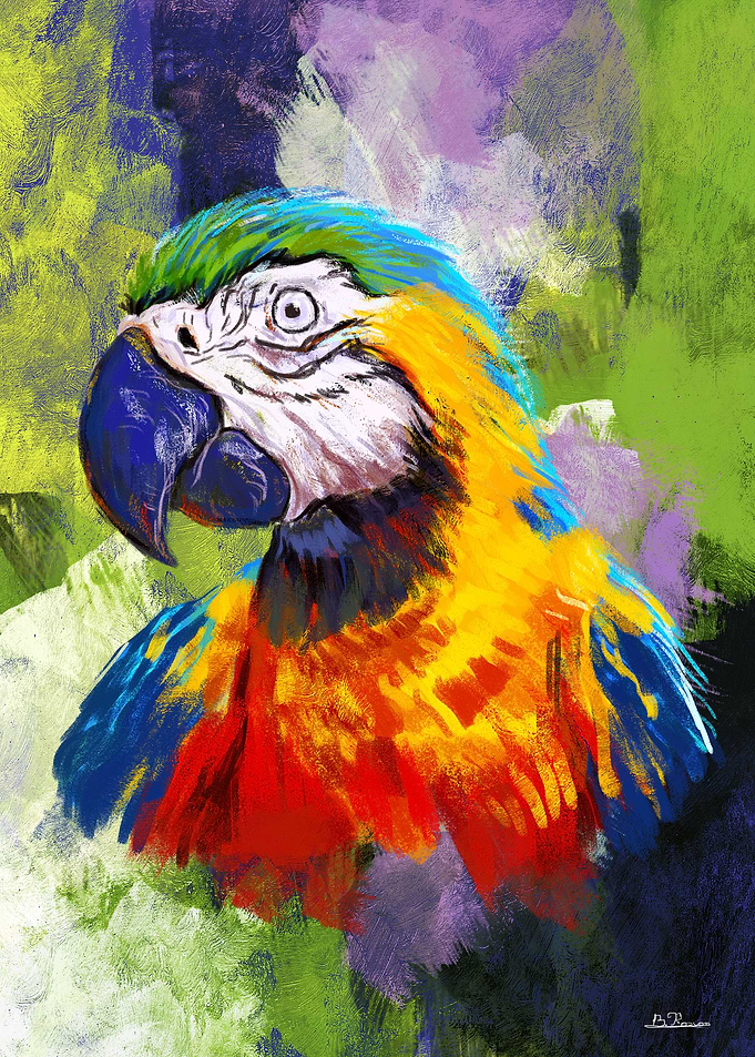 Parrot