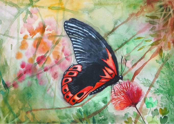Red Butterfly