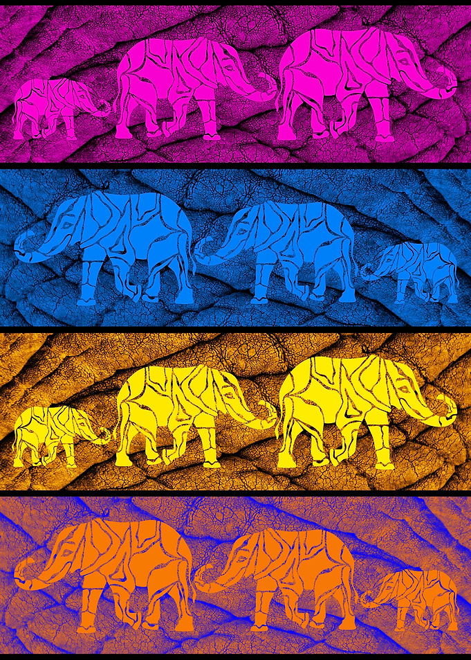 Elephants in color 5