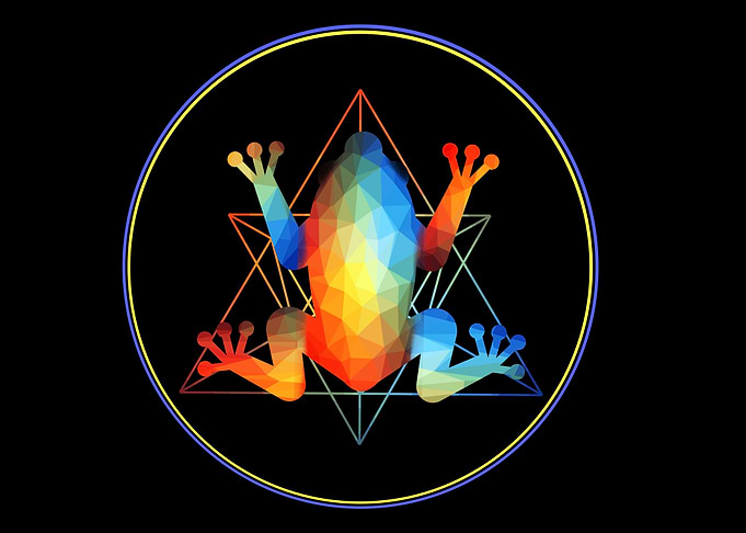geometric frog art