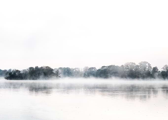 Mysterious morning