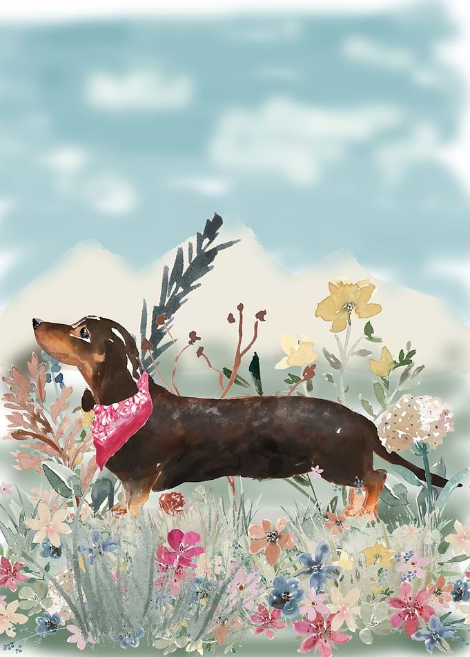 Cute little Dachshund
