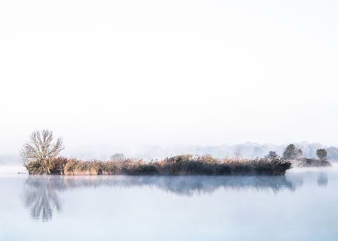 Morning island