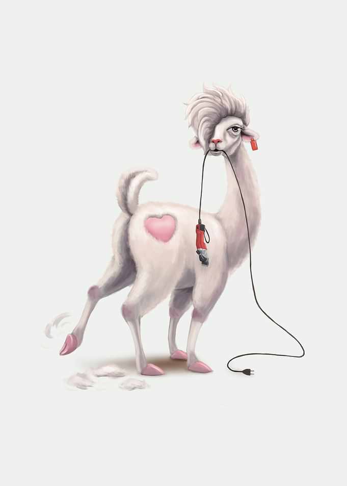 Fashion Llama Lucy