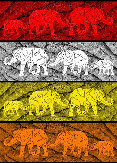 Elephants in color 2