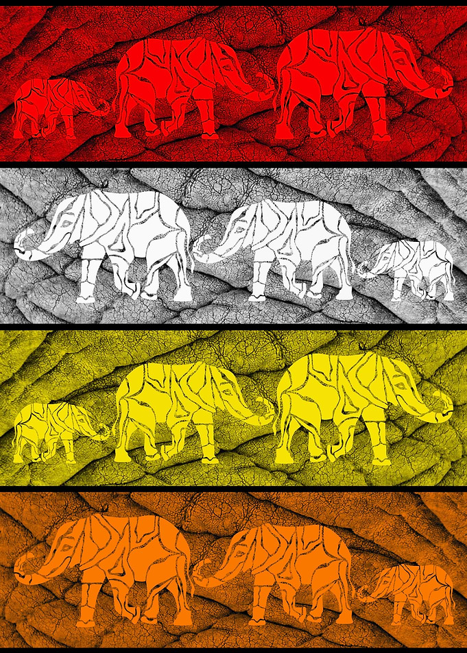 Elephants in color 2