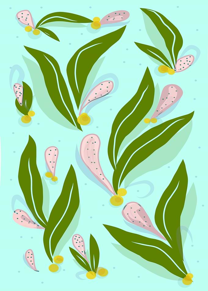 Leaves and fruits