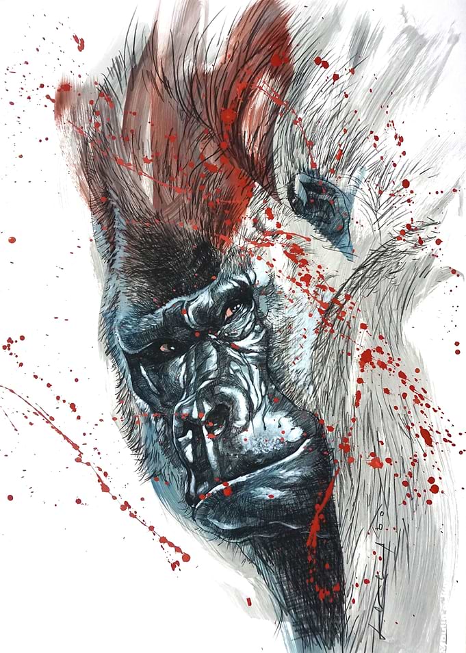 silver back gorilla