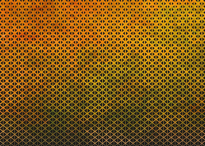 HEXAGONAL ILLUSTRATE