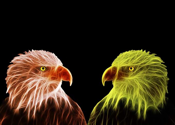 Le duo brillant II