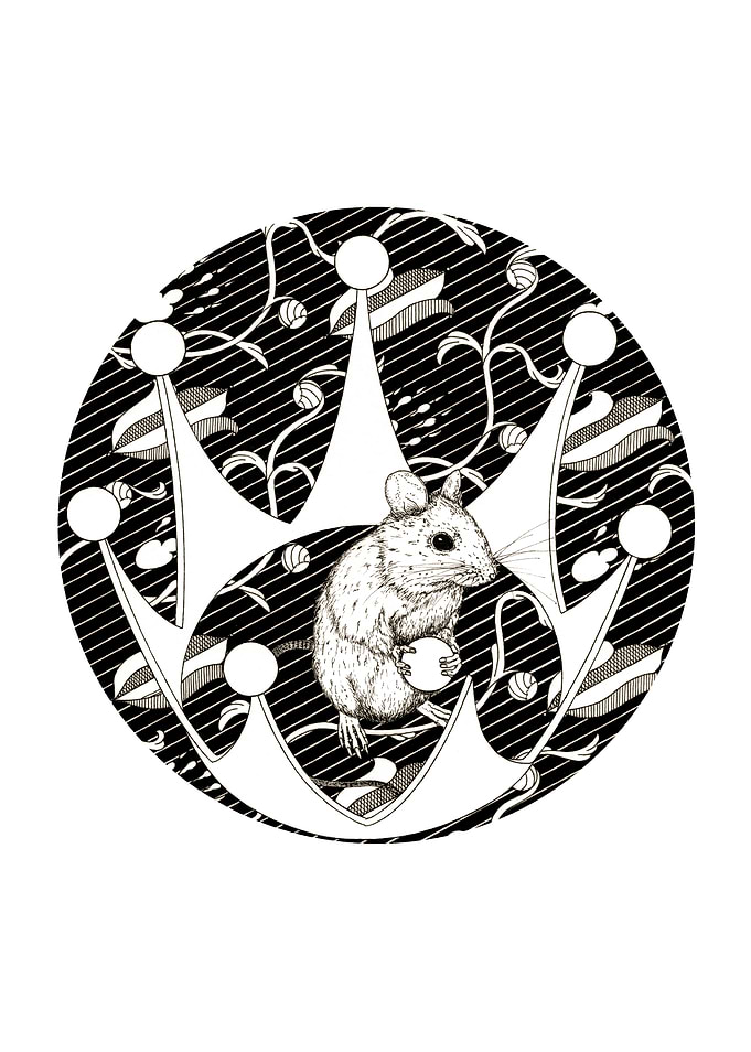 The king and the mouse