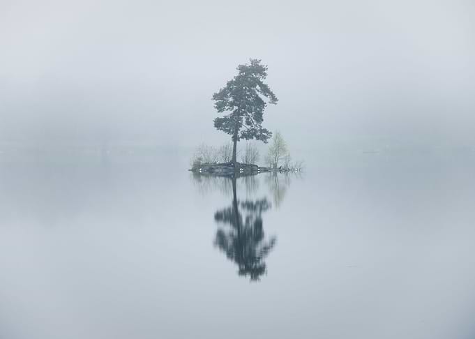Reflection