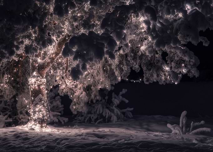Magical tree