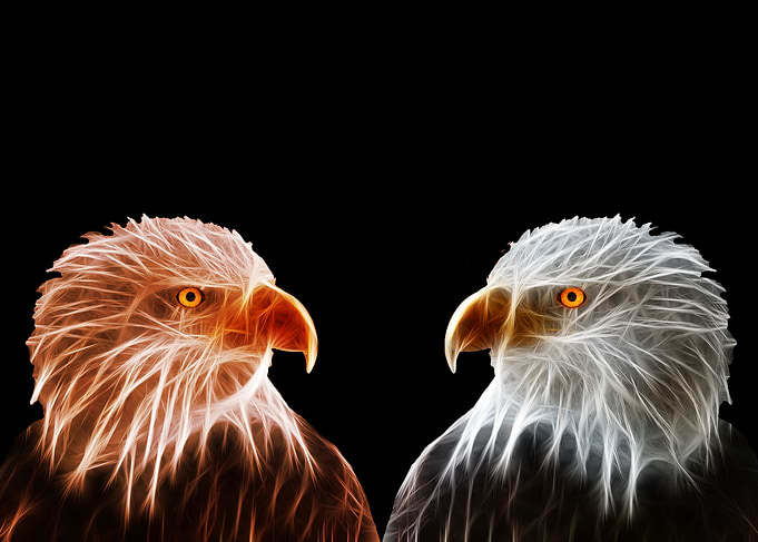 Le duo brillant 1