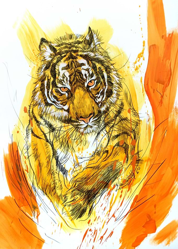 Tiger jump