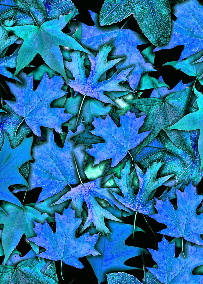 Fall Leaves in Blue