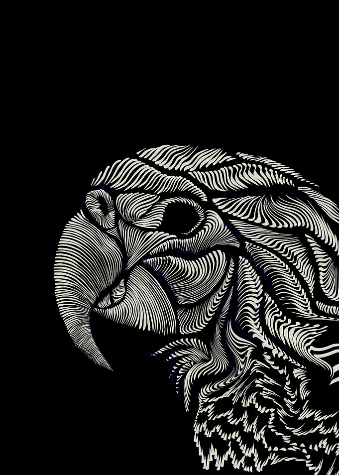 Parrot