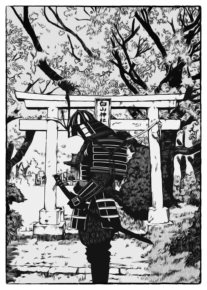 Samurai Spirit