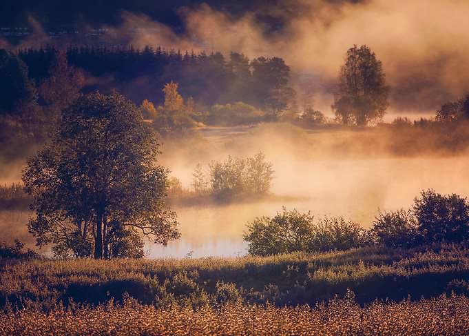 Foggy morning