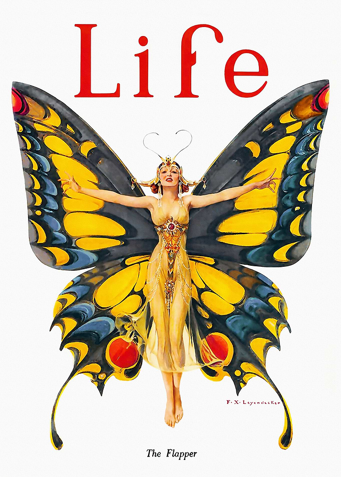 Life Butterfly The Flapper