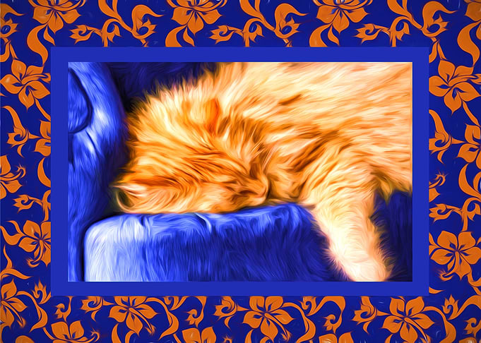 Kouch Kitty Painting