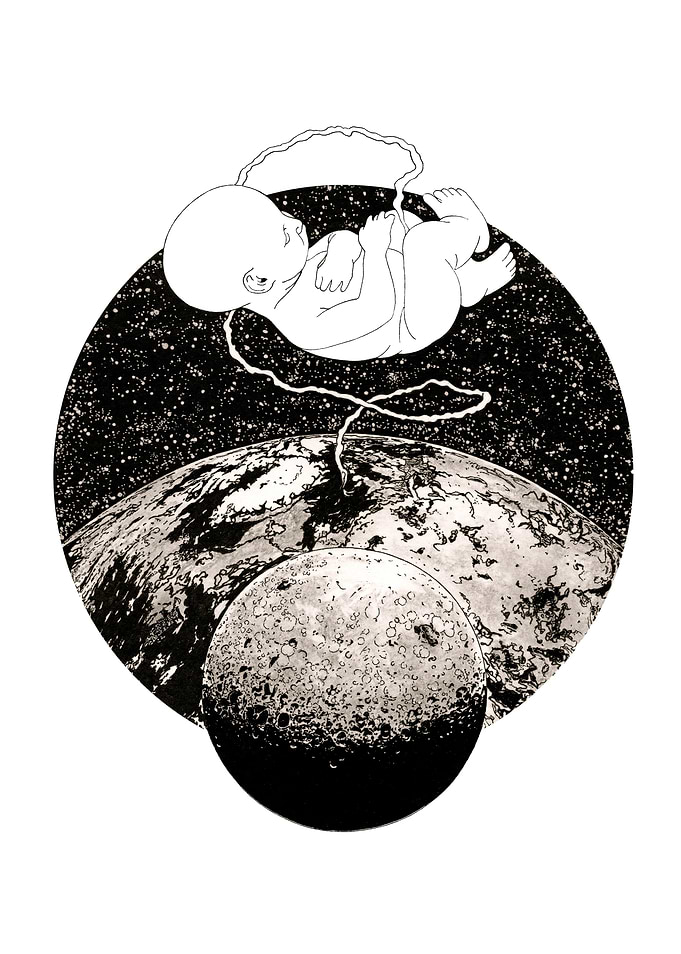 Womb