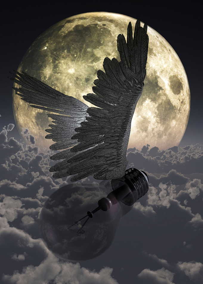 Flying idea