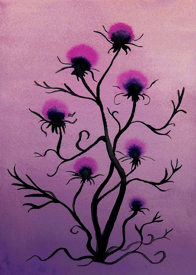 Cardoon