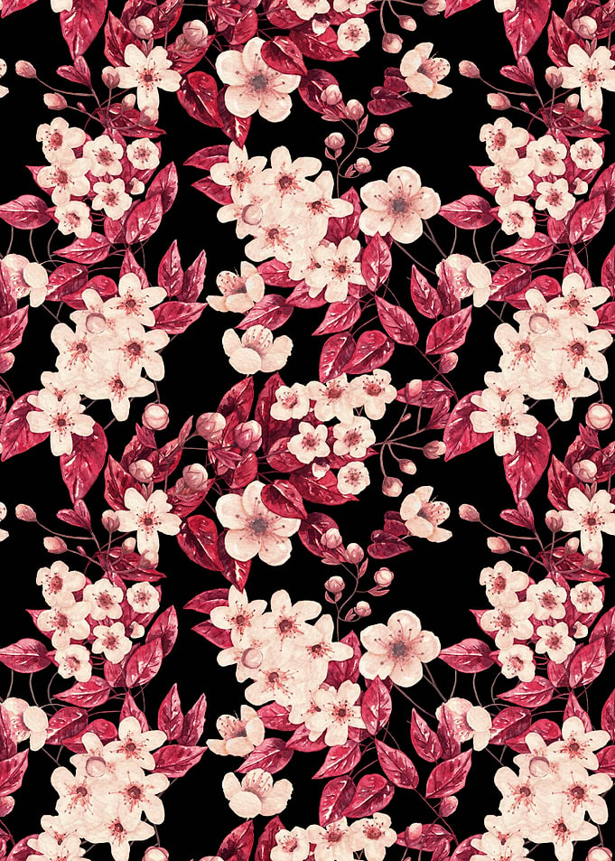 Sakura flowers Tree