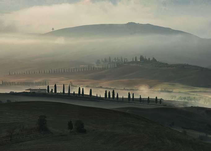 Romantic morning