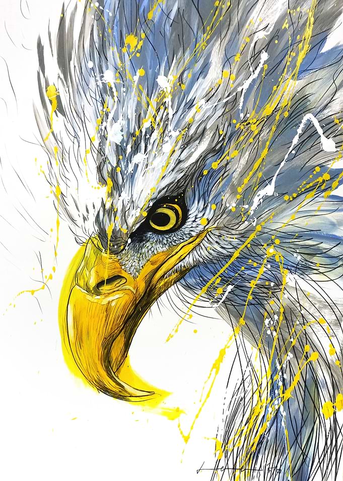 Eagle eyes