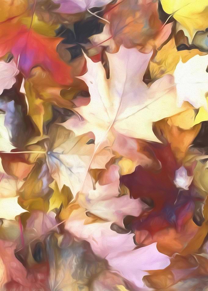 Fall Leaves Bright
