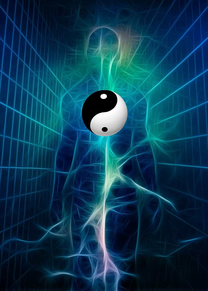 Yin Yang Human