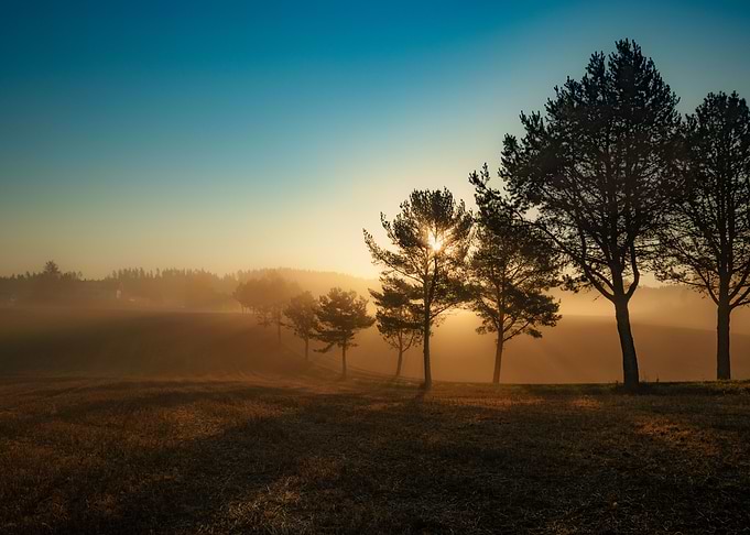 Rural landscape