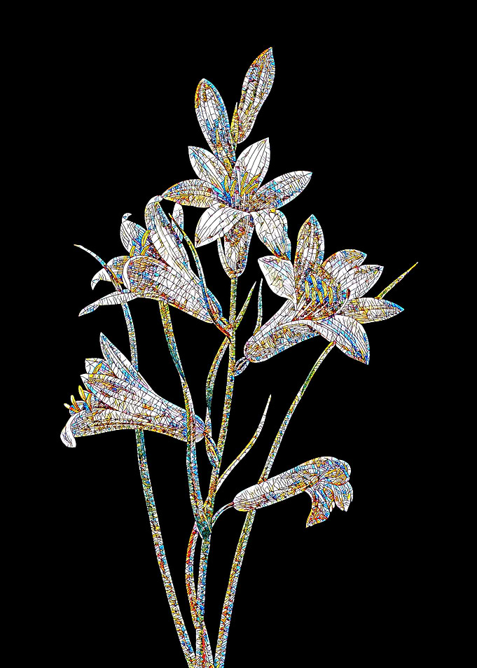 St Brunos Lily Mosaic