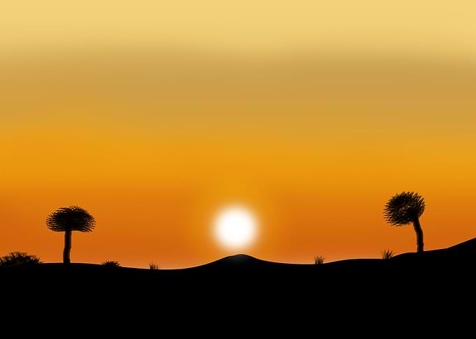 Sunset Heat