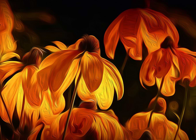 A Blast of Orange
