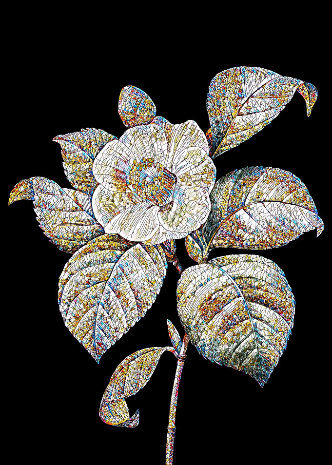 Japanese Camellia Mosaic