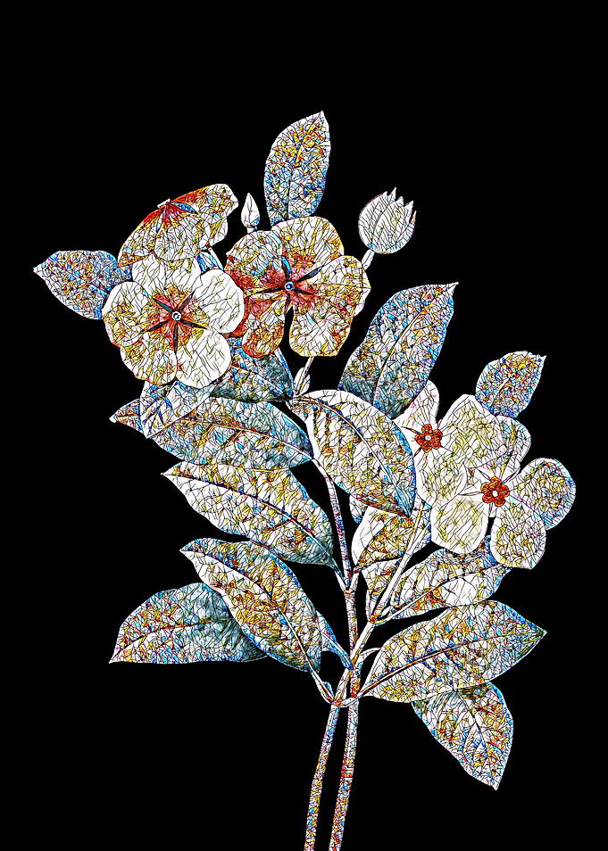 Periwinkle Mosaic