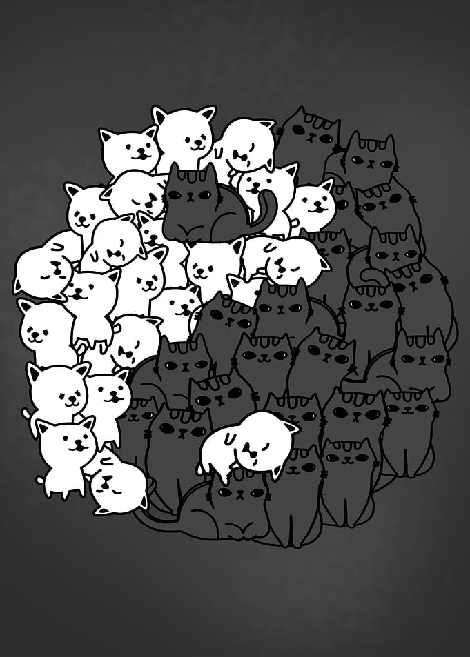 Dog Cat Yin Yang Yoga