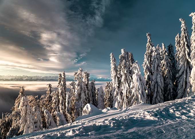 Winter sunrise