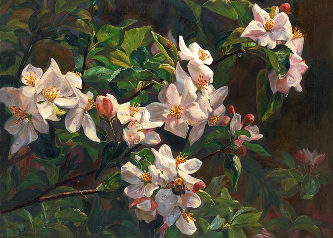 Blossom Of My Heart