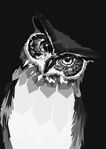 Owl WPAP Grayscale Style