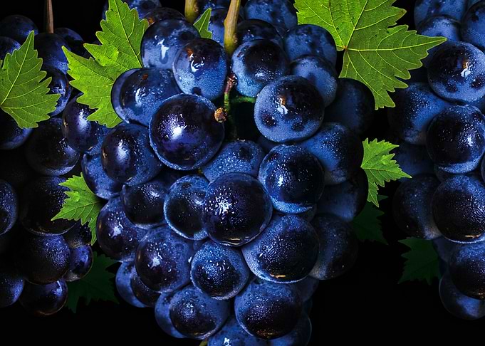 grapes from korea