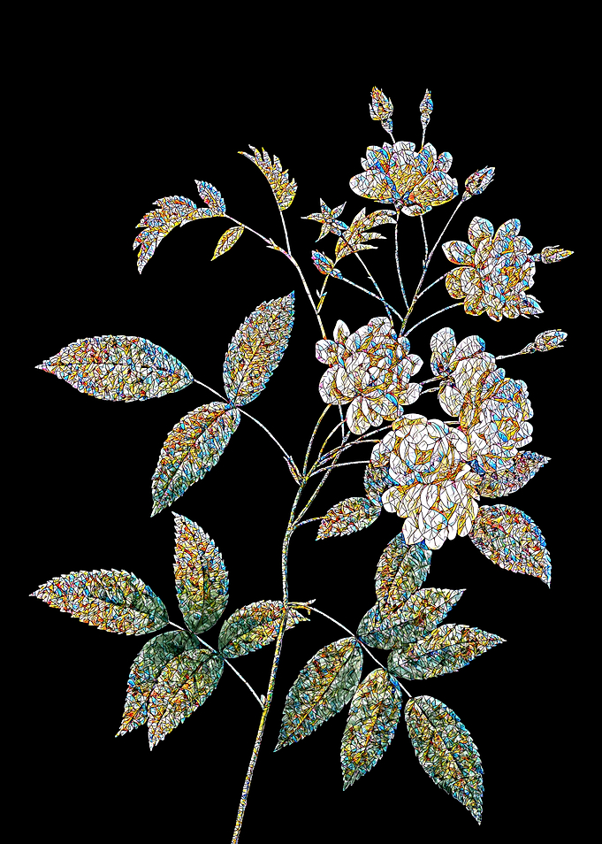 Lady Banks Rose Mosaic