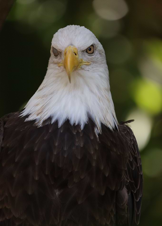 With one eye open